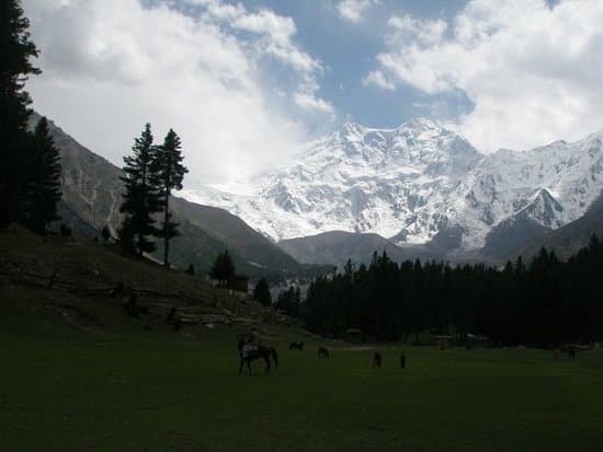 Astore-Diamer District
