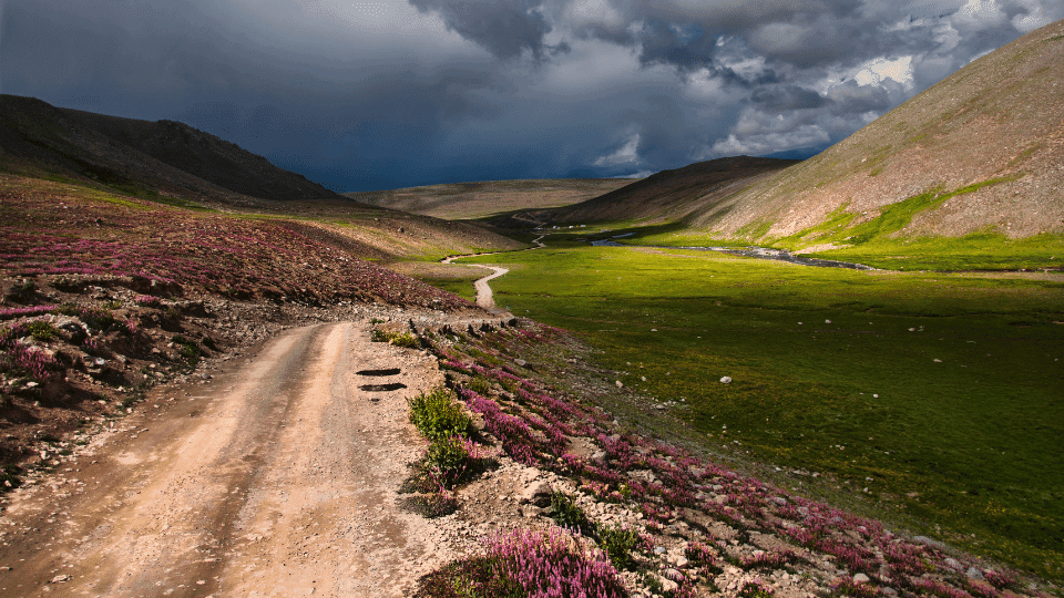 Deosai Plains