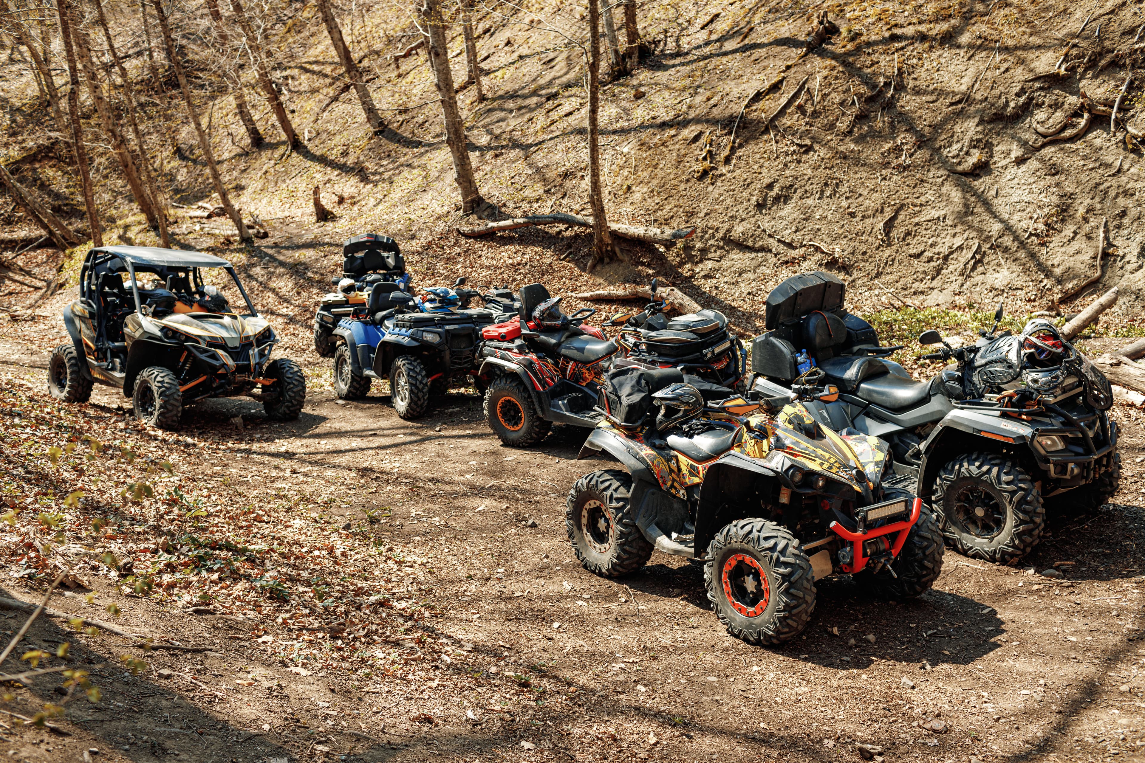 Desert Safari & Quad Bikes
