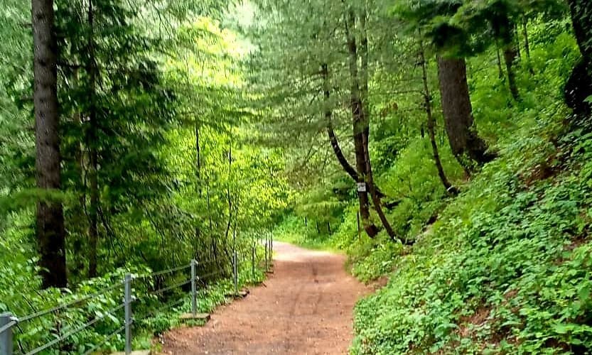 Pipeline Track & Ayubia National Park