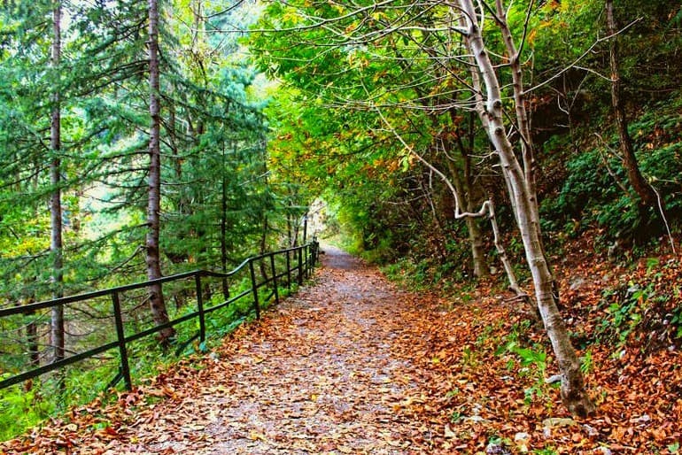 Pipeline Track Ayubia