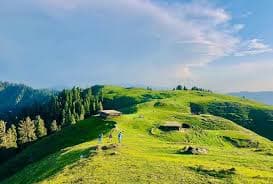 Shangla Top