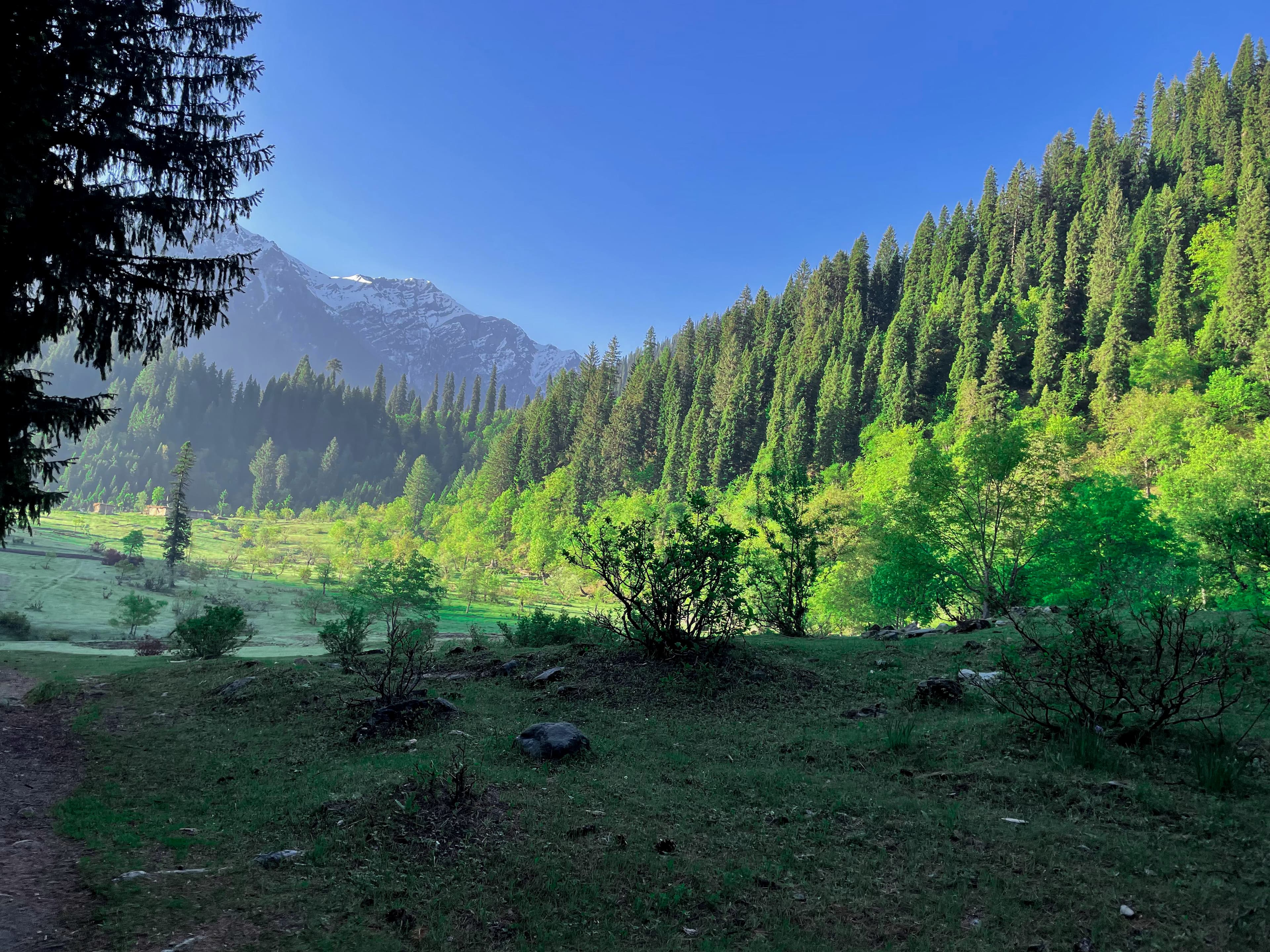 Ushu Forest (Ushu Valley)