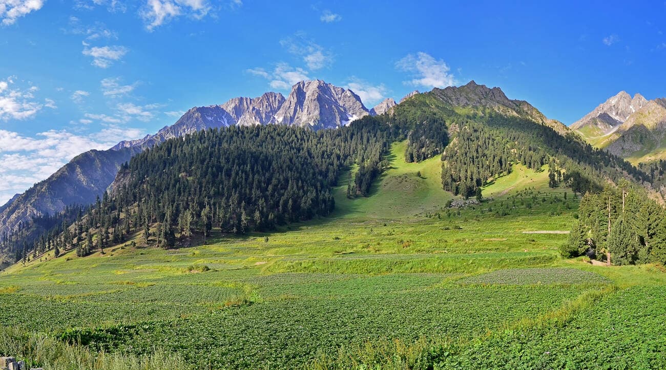 Dream Journeys of North